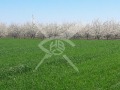 Продава ПАРЦЕЛ, област Пловдив, с. Цалапица • 32600 € • 32863134 — Holmes.bg