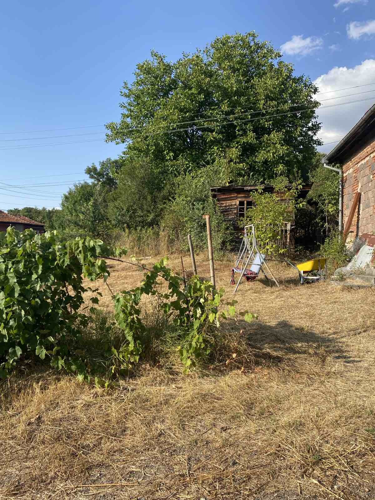 ������� ������ | Imot.bg � ����������� 1
