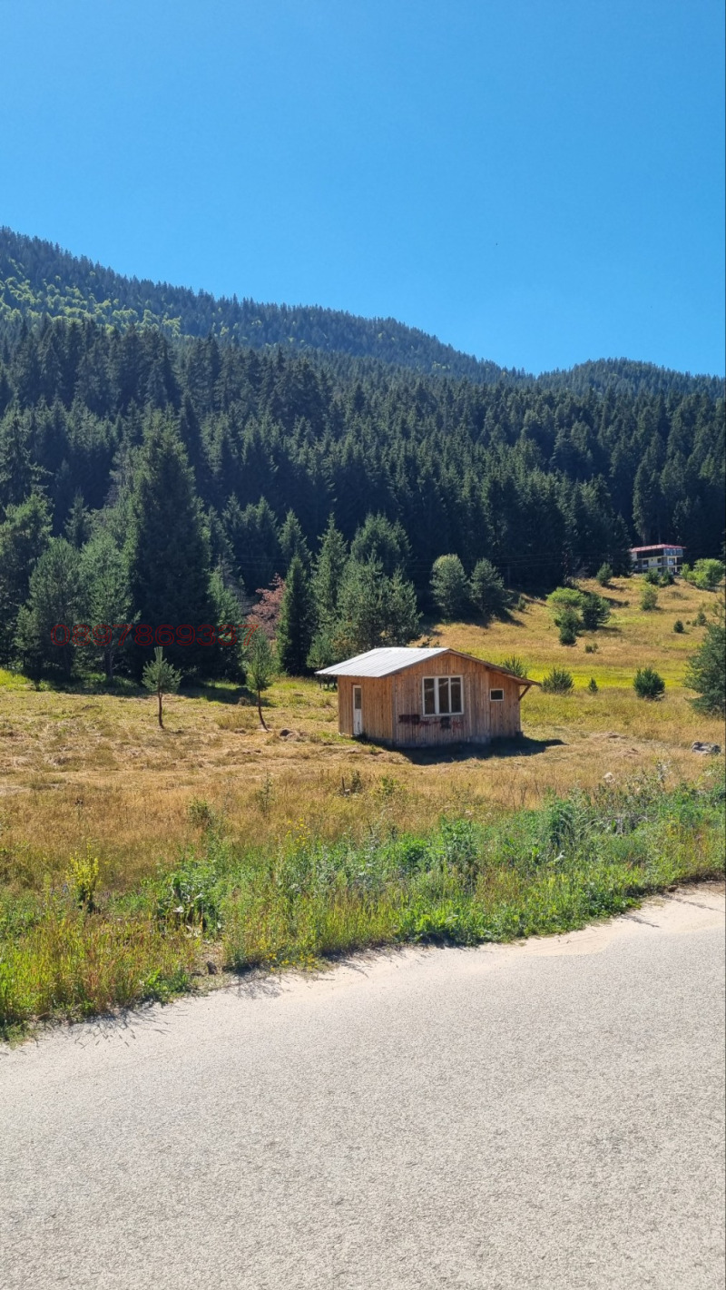 For Sale  Plot region Pazardzhik , Sarnitsa , 1500 sq.m | 75501160