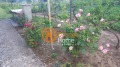 Продава  Къща област Добрич , с. Царичино , 110 кв.м | 84321685 - изображение [16]