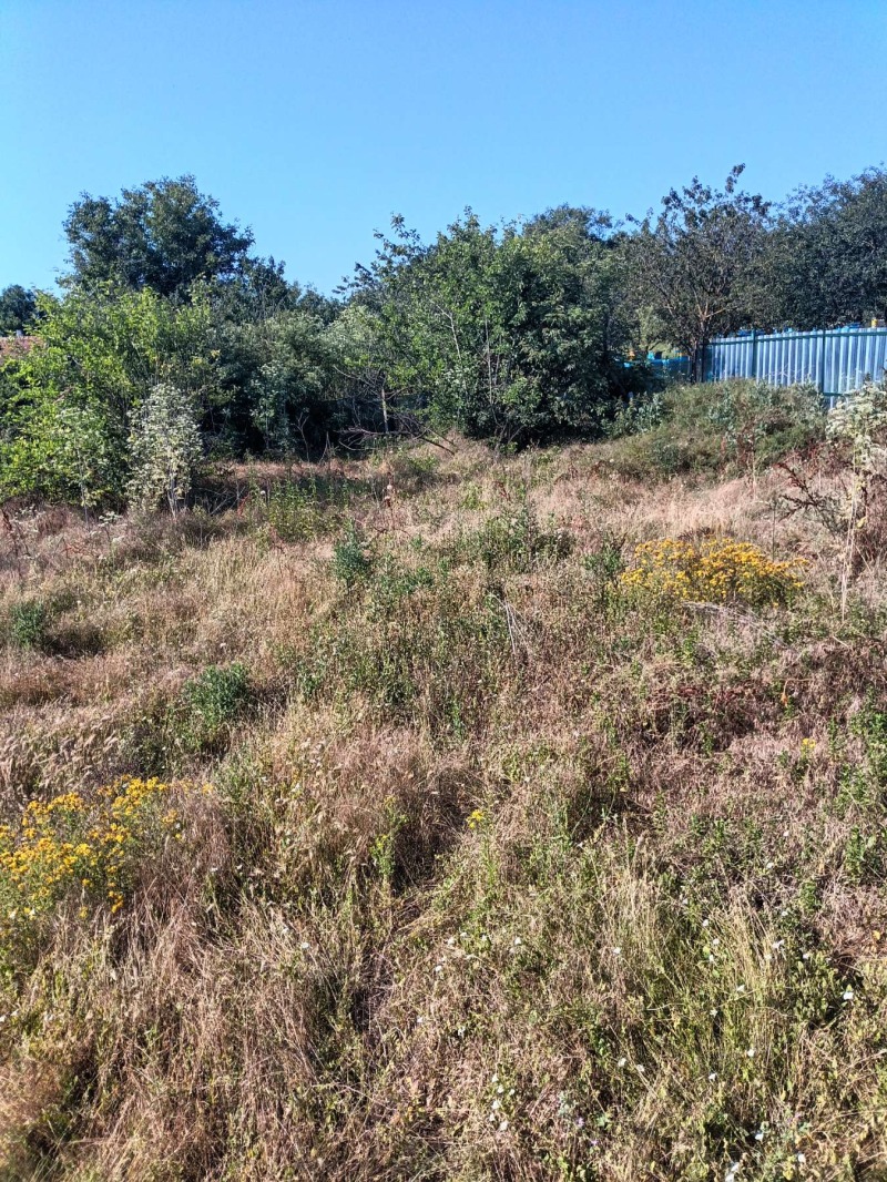 Zu verkaufen  Haus region Rasgrad , Jasenowez , 67 qm | 97710204 - Bild [2]