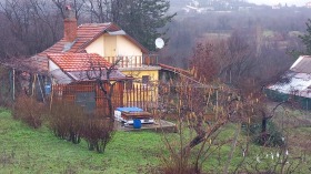 ����� ������� ����,�. ����������, ������ ����� ������