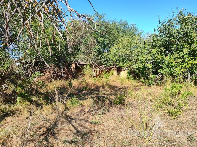 Na prodej  Dům oblast Varna , Krivini , 85 m2 | 10433484 - obraz [13]