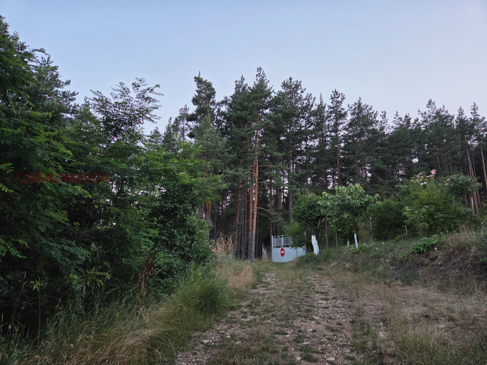 Продава ПАРЦЕЛ, с. Горни Окол, област София област, снимка 5 - Парцели - 55246591