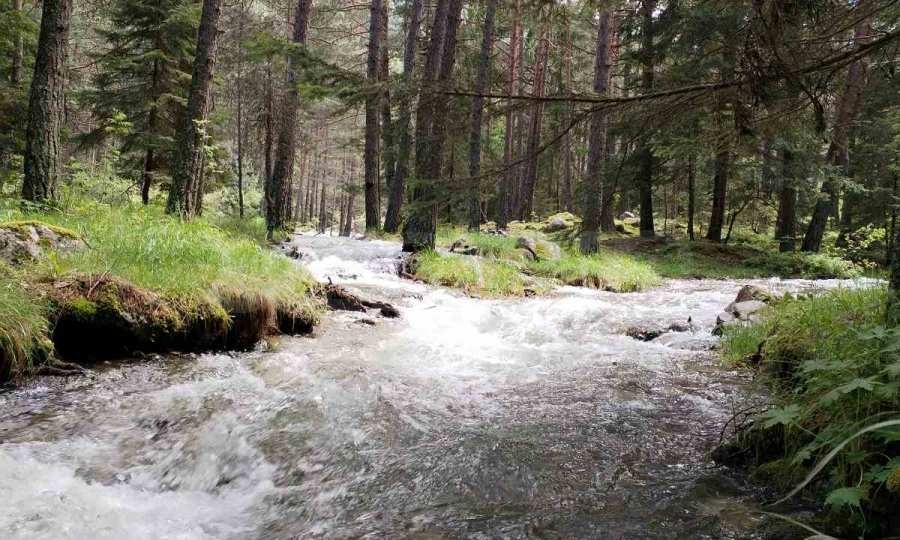 Продава ПАРЦЕЛ, с. Бели Искър, област София област, снимка 16 - Парцели - 55283048