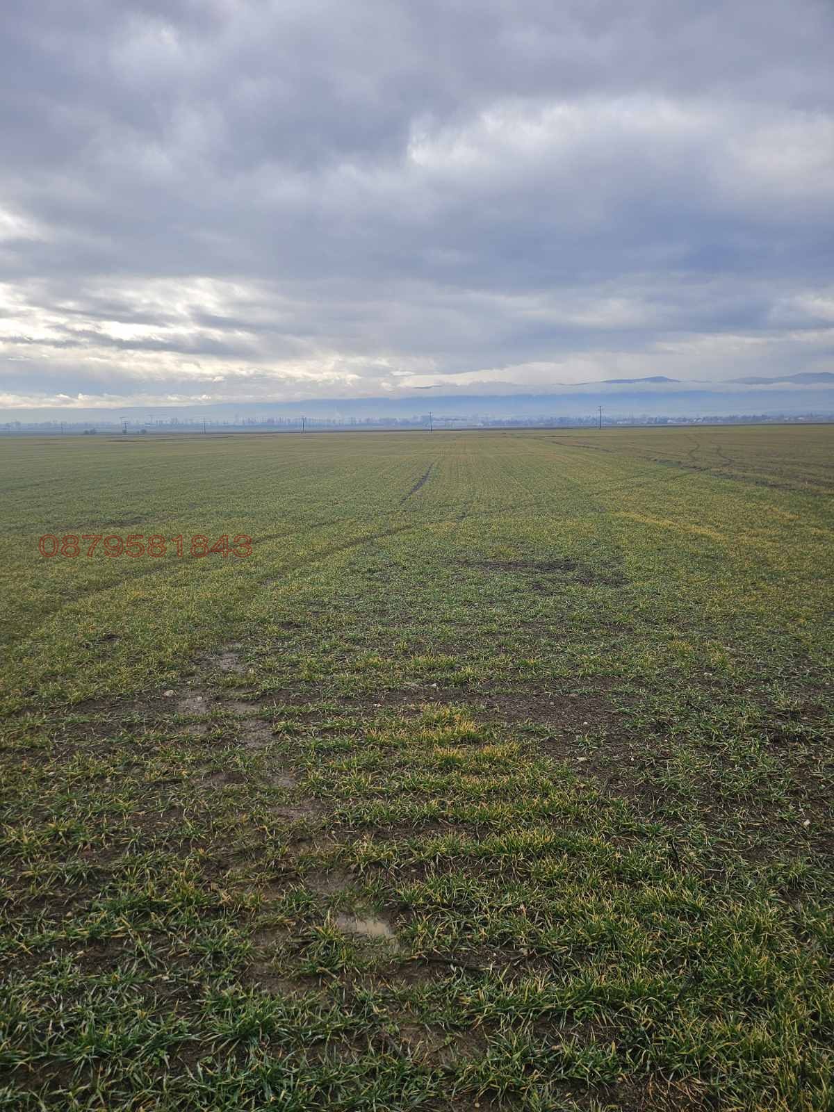 Продава ПАРЦЕЛ, гр. Елин Пелин, област София област, снимка 4 - Парцели - 55512224
