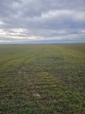 Продава ПАРЦЕЛ, гр. Елин Пелин, област София област, снимка 4