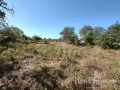 Продава КЪЩА, област Варна, с. Кривини • 29000 € / 56719.07 лв. • 52153380 8