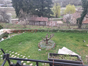 ������ ������� ����