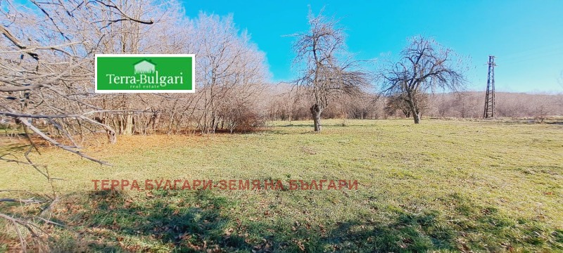 Na sprzedaż  Działka Pernik , Carkwa , 804 mkw | 48176755 - obraz [2]