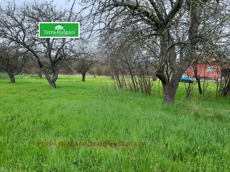 For Sale  Plot Pernik , Tsarkva , 804 sq.m | 48176755 - image [7]