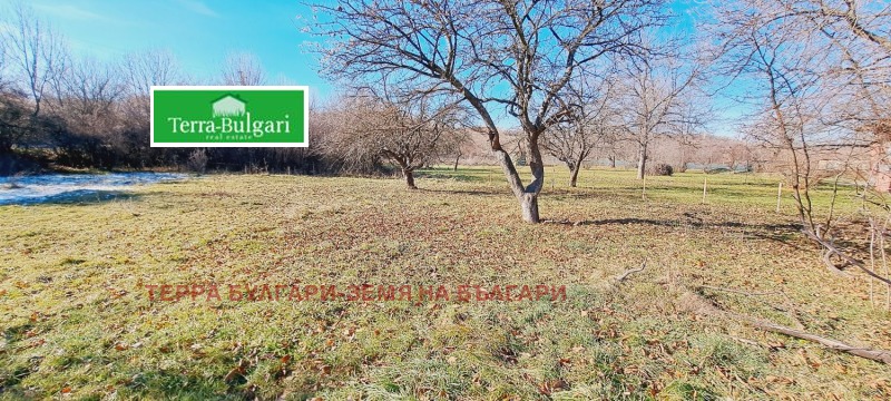 For Sale  Plot Pernik , Tsarkva , 804 sq.m | 48176755