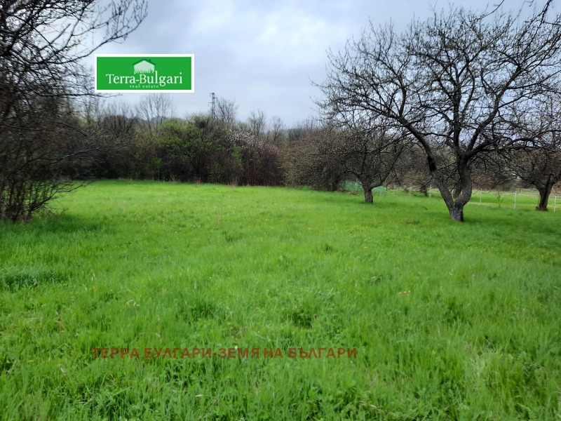 For Sale  Plot Pernik , Tsarkva , 804 sq.m | 48176755 - image [8]