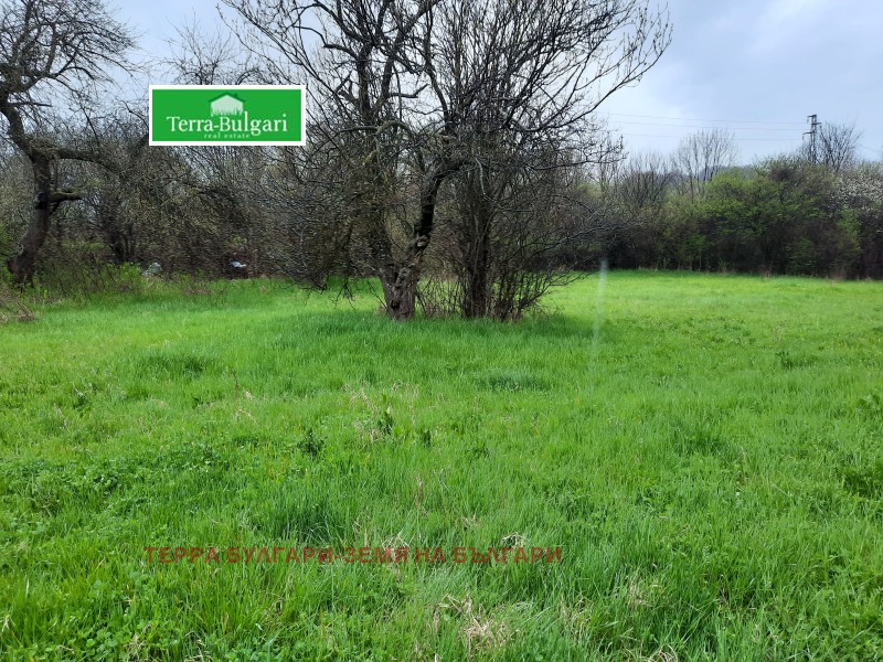 For Sale  Plot Pernik , Tsarkva , 804 sq.m | 48176755 - image [5]