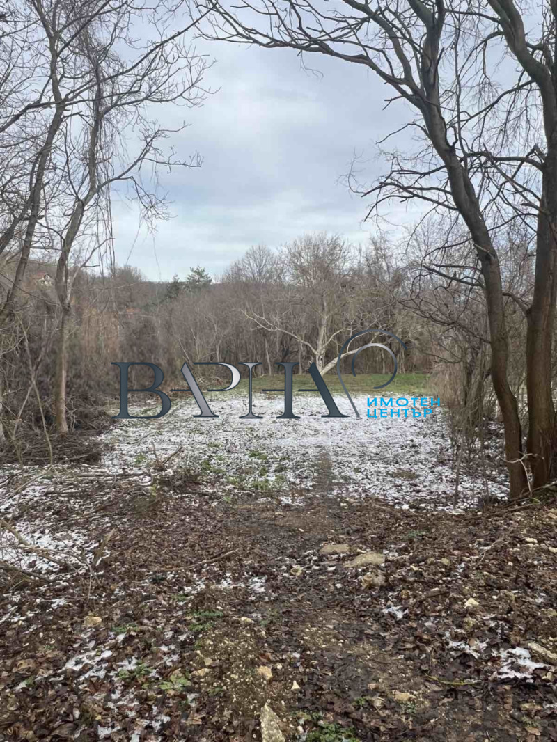 Продава ПАРЦЕЛ, с. Осеново, област Варна, снимка 4 - Парцели - 53185448