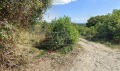 Продава ПАРЦЕЛ, с. Рогачево, област Добрич, снимка 5