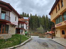 Studio c.c. Pamporovo, regiunea Smolyan 7