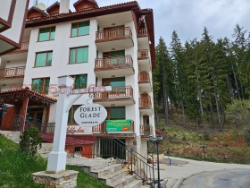 Studio c.c. Pamporovo, regiunea Smolyan 6