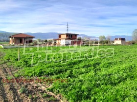 ������ ������� ������