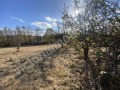 Продава ПАРЦЕЛ, с. Балванците, област Габрово, снимка 2