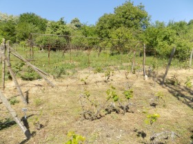 ������� ���� | Imot.bg � ����� ������ 8