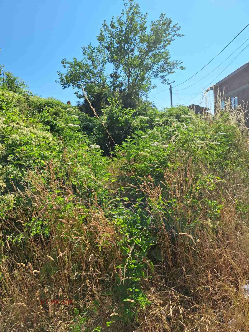 Te koop  Verhaallijn regio Sofia , Dolna banja , 968 m² | 70290846 - afbeelding [5]