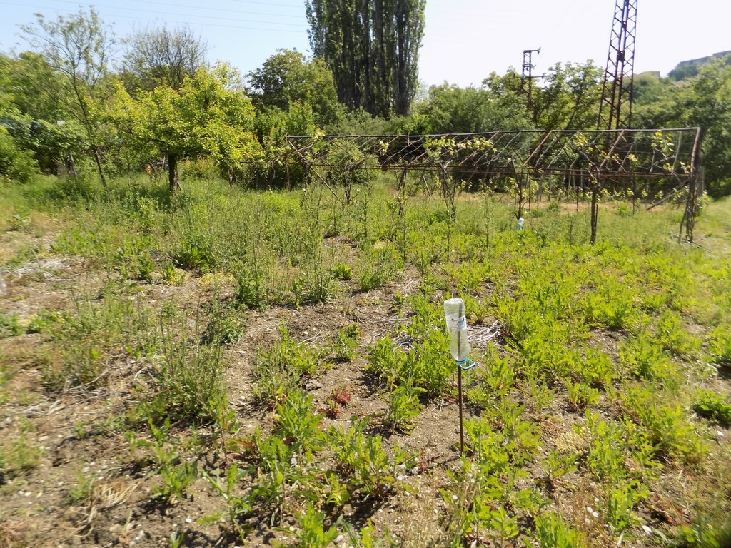 Продава ВИЛА, с. Петлино, област Кърджали, снимка 4 - Вили - 55042403