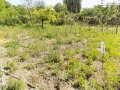 Продава ВИЛА, с. Петлино, област Кърджали, снимка 7