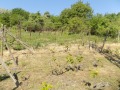 Продава ВИЛА, с. Петлино, област Кърджали, снимка 8