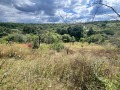 Продава ПАРЦЕЛ, гр. Варна, с. Звездица, снимка 2