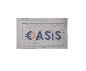 ������ ������� ������