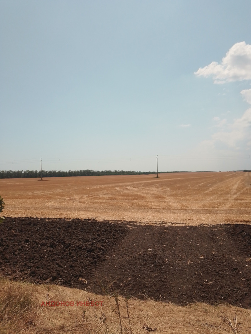 Προς πώληση  Γη περιοχή Dobrich , Ογραζδεν , 23 dka | 38373712