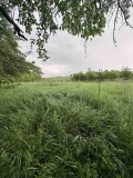 Продава КЪЩА, с. Врабево, област Ловеч, снимка 15