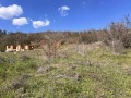 Продава ПАРЦЕЛ, с. Колена, област Стара Загора, снимка 5