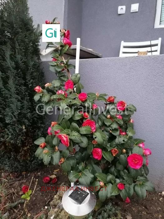 ������� ���� | Imot.bg � ����������� 5