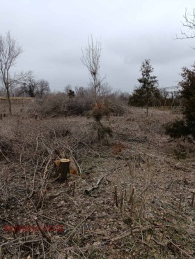 ����� ������� ������,�. ���������, ������ ������ �������