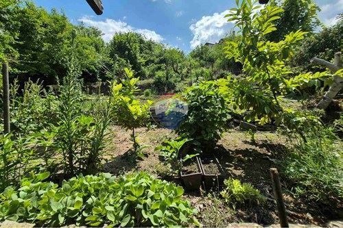 À venda  Trama região Dobrich , Kranevo , 1545 m² | 68678405