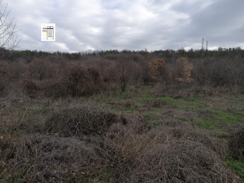 Продава ПАРЦЕЛ, с. Оброчище, област Добрич, снимка 5 - Парцели - 53123880