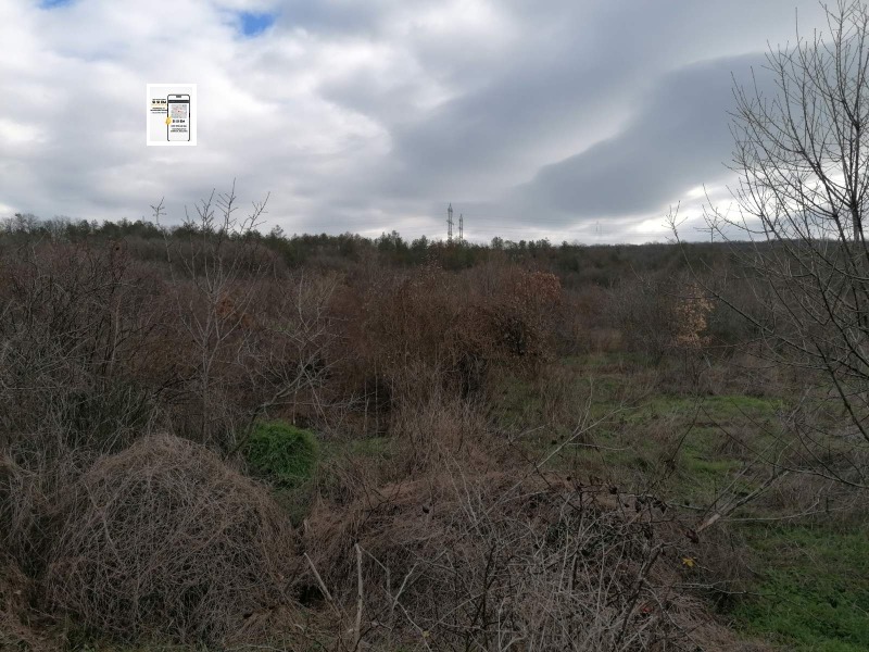 Продава ПАРЦЕЛ, с. Оброчище, област Добрич, снимка 2 - Парцели - 53123880