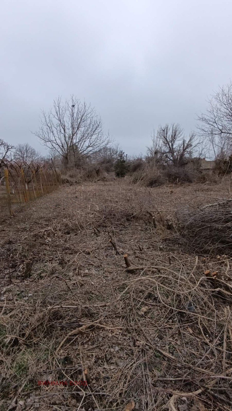 Продава ПАРЦЕЛ, с. Козаревец, област Велико Търново, снимка 2 - Парцели - 54183994