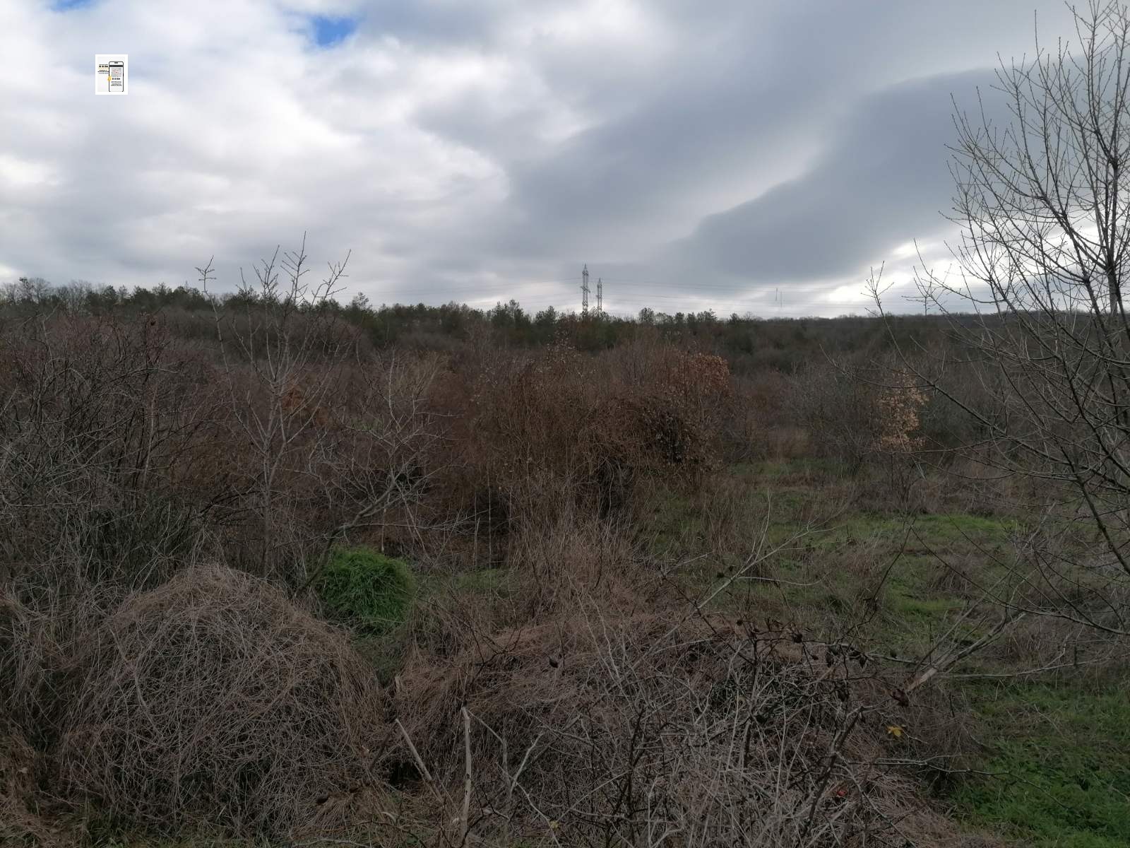 Продава ПАРЦЕЛ, с. Оброчище, област Добрич, снимка 2 - Парцели - 53665192