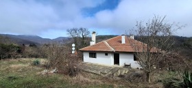 ����� ������� ����,�. ������, ������ ������