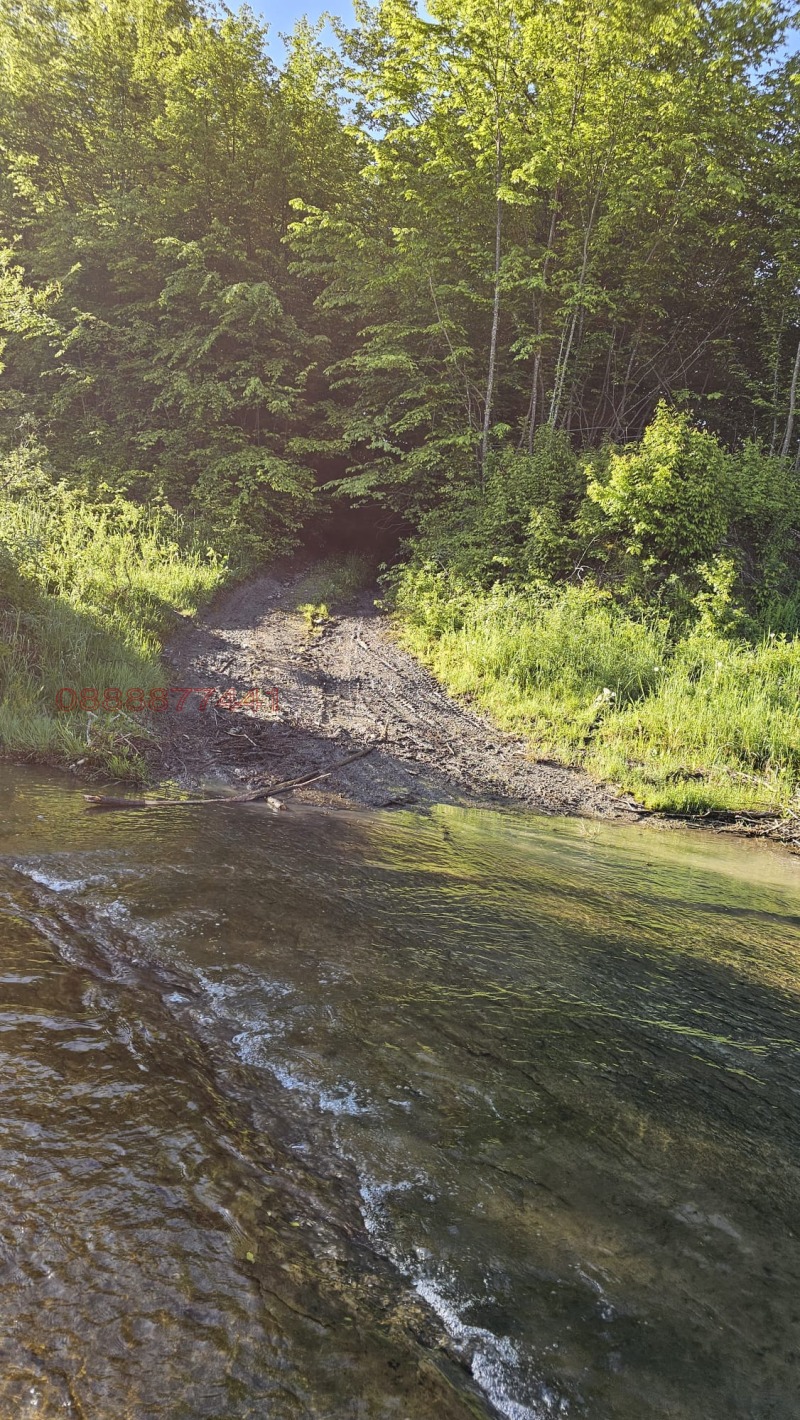 Продава ПАРЦЕЛ, гр. Априлци, област Ловеч, снимка 7 - Парцели - 52798662