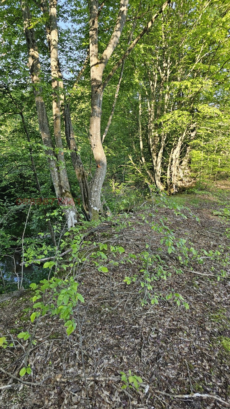 Продава ПАРЦЕЛ, гр. Априлци, област Ловеч, снимка 3 - Парцели - 52798662