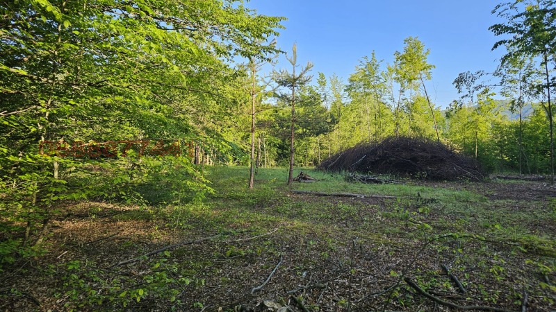 Продава ПАРЦЕЛ, гр. Априлци, област Ловеч, снимка 2 - Парцели - 52798662