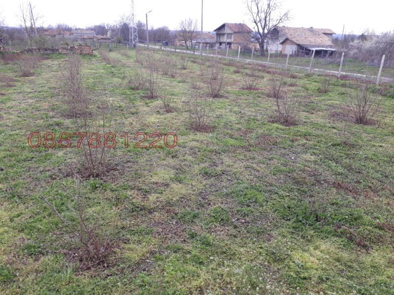 ������� ���� | Imot.bg � ����������� 10