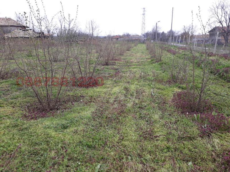 ������� ���� | Imot.bg � ����������� 9