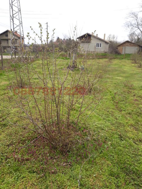 ������� ���� | Imot.bg � ����������� 13