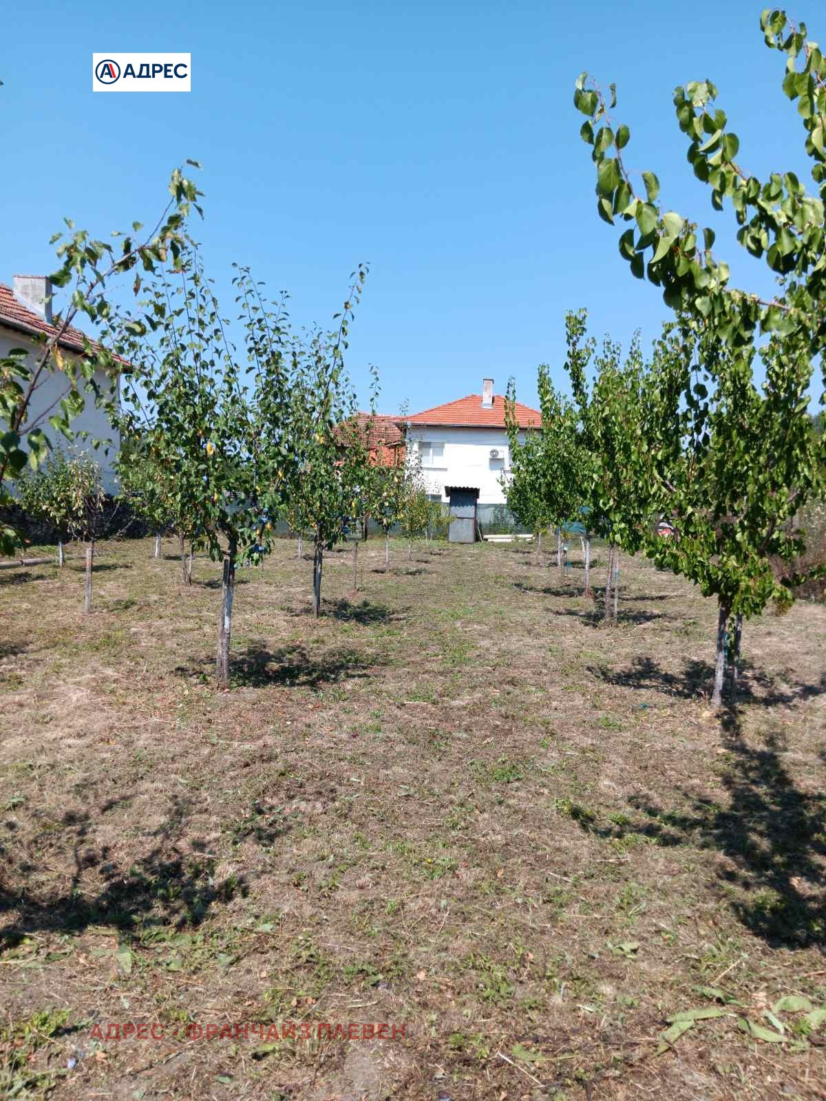 ������� ������ | Imot.bg � ����������� 1