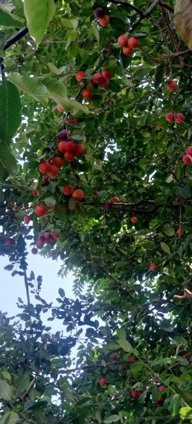 ������� ������ | Imot.bg � ����� ������ 4